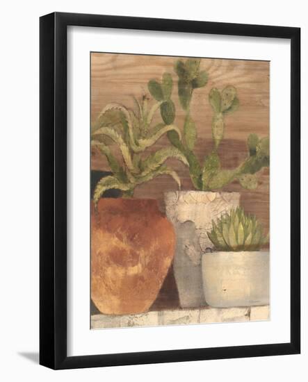 Desert Still Life Light Crop-Albena Hristova-Framed Art Print