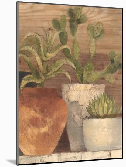 Desert Still Life Light Crop-Albena Hristova-Mounted Art Print