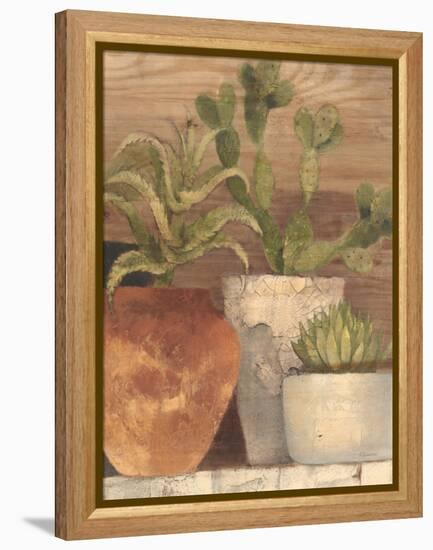 Desert Still Life Light Crop-Albena Hristova-Framed Stretched Canvas