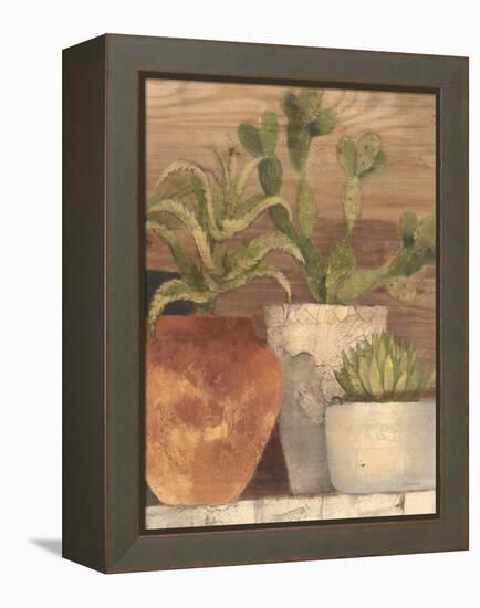 Desert Still Life Light Crop-Albena Hristova-Framed Stretched Canvas