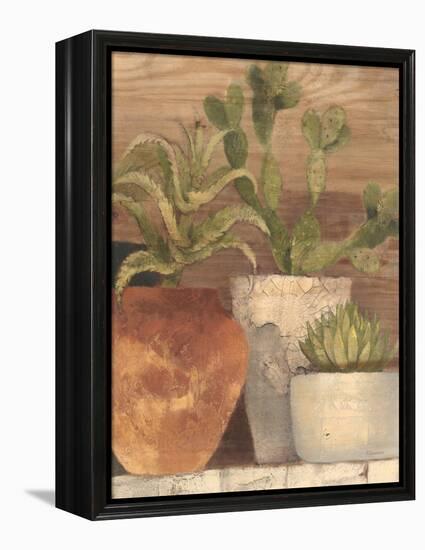 Desert Still Life Light Crop-Albena Hristova-Framed Stretched Canvas