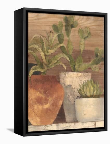 Desert Still Life Light Crop-Albena Hristova-Framed Stretched Canvas