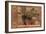 Desert Still Life-Albena Hristova-Framed Art Print