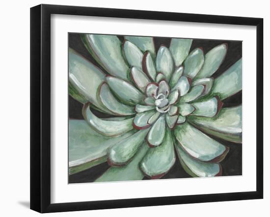 Desert Succulent-Filippo Ioco-Framed Art Print