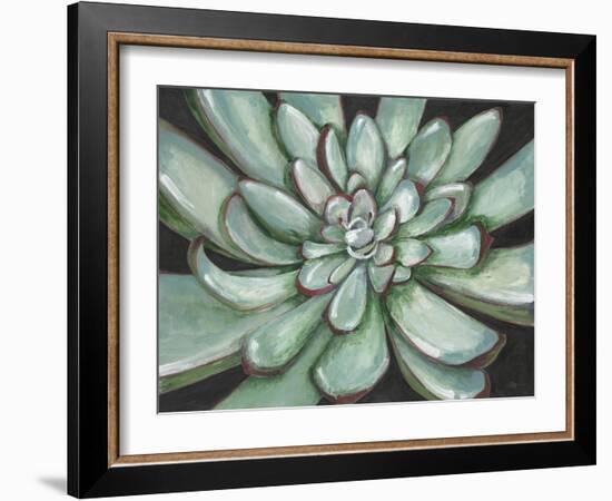 Desert Succulent-Filippo Ioco-Framed Art Print