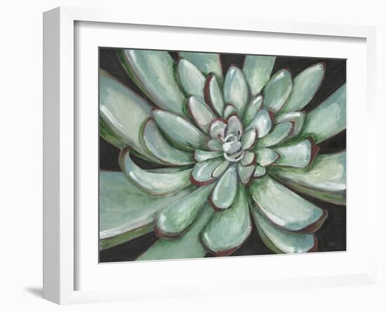 Desert Succulent-Filippo Ioco-Framed Art Print