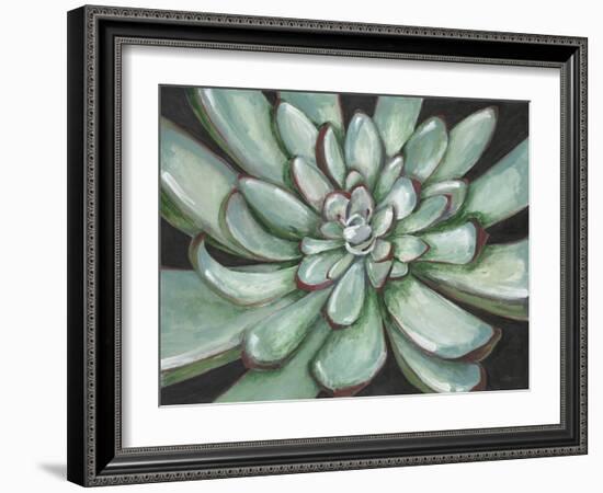 Desert Succulent-Filippo Ioco-Framed Art Print