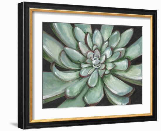 Desert Succulent-Filippo Ioco-Framed Art Print