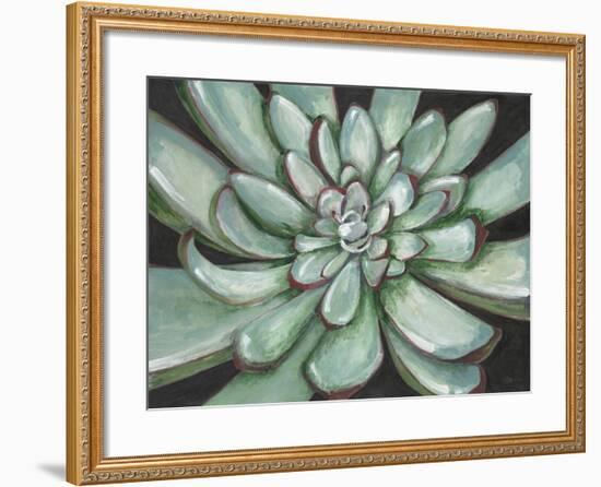 Desert Succulent-Filippo Ioco-Framed Art Print