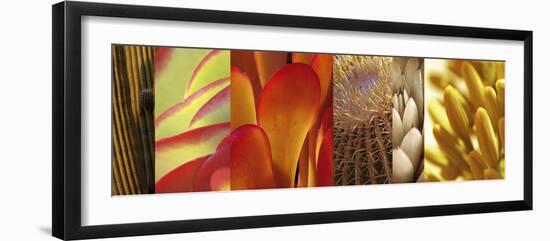 Desert Sun-Mary Karla-Framed Giclee Print