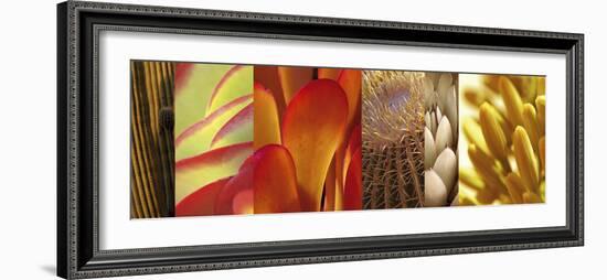 Desert Sun-Mary Karla-Framed Giclee Print