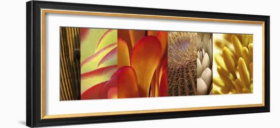 Desert Sun-Mary Karla-Framed Giclee Print