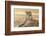 Desert Sunrise-Kalon Baughan-Framed Art Print