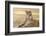 Desert Sunrise-Kalon Baughan-Framed Art Print