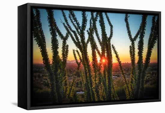 Desert Sunset through Cactus Tree over Phoenix,Az-BCFC-Framed Premier Image Canvas