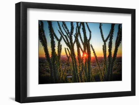 Desert Sunset through Cactus Tree over Phoenix,Az-BCFC-Framed Photographic Print