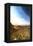 Desert Sunset-Philippe Hugonnard-Framed Premier Image Canvas