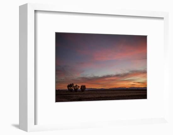 Desert Sunset-Aaron Matheson-Framed Photographic Print