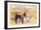 Desert Sweethearts, Nuzzling Burros-null-Framed Premium Giclee Print