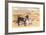 Desert Sweethearts, Nuzzling Burros-null-Framed Art Print