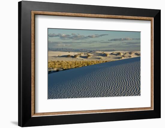 Desert Vista, Cloudy, White Sands Nm, Alamogordo, New Mexico-Michel Hersen-Framed Photographic Print