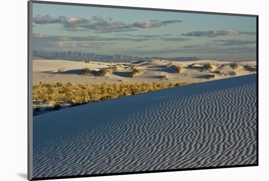 Desert Vista, Cloudy, White Sands Nm, Alamogordo, New Mexico-Michel Hersen-Mounted Photographic Print