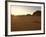 Desert, Wadi Rum, Jordan, Middle East-Sergio Pitamitz-Framed Photographic Print