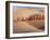 Desert Walk-Art Wolfe-Framed Photographic Print