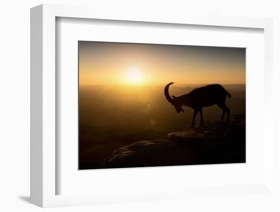 Desert Wanderer-Nadav Jonas-Framed Photographic Print