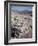 Desert Wild Flowers-Andreas Feininger-Framed Photographic Print