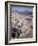 Desert Wild Flowers-Andreas Feininger-Framed Photographic Print