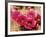 Desert Wild Flowers-Andreas Feininger-Framed Photographic Print