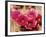 Desert Wild Flowers-Andreas Feininger-Framed Photographic Print