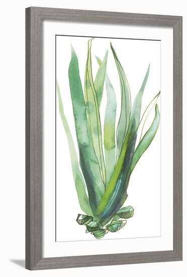 Desert Wild III-Sandra Jacobs-Framed Giclee Print