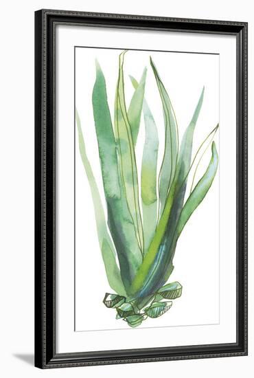 Desert Wild III-Sandra Jacobs-Framed Giclee Print