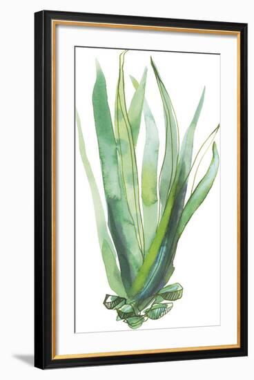 Desert Wild III-Sandra Jacobs-Framed Giclee Print