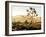 Desert Wilderness-Mark Chandon-Framed Giclee Print