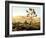 Desert Wilderness-Mark Chandon-Framed Giclee Print