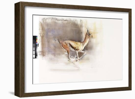 Desert Wind (Arabian Gazelle), 2010-Mark Adlington-Framed Giclee Print