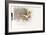 Desert Wind (Arabian Gazelle), 2010-Mark Adlington-Framed Giclee Print