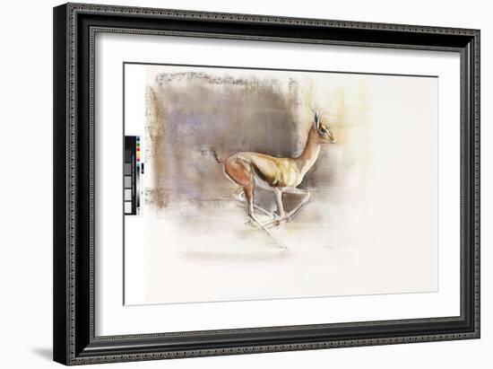 Desert Wind (Arabian Gazelle), 2010-Mark Adlington-Framed Giclee Print