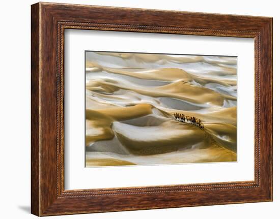 Desert Winter-Hua Zhu-Framed Photographic Print