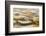 Desert Winter-Hua Zhu-Framed Photographic Print