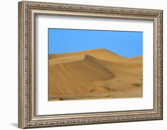 Desert with sand. Abu Dhabi, United Arab Emirates.-Tom Norring-Framed Photographic Print