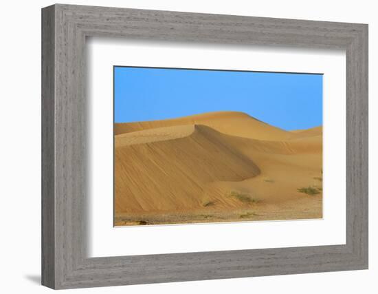 Desert with sand. Abu Dhabi, United Arab Emirates.-Tom Norring-Framed Photographic Print