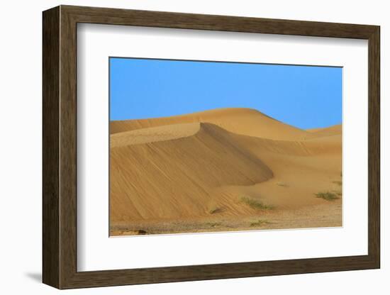 Desert with sand. Abu Dhabi, United Arab Emirates.-Tom Norring-Framed Photographic Print