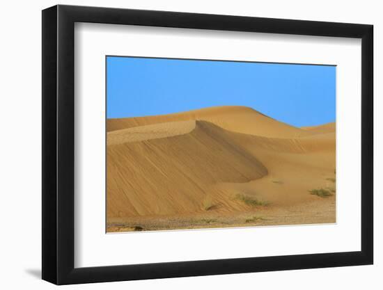 Desert with sand. Abu Dhabi, United Arab Emirates.-Tom Norring-Framed Photographic Print