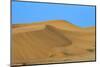 Desert with sand. Abu Dhabi, United Arab Emirates.-Tom Norring-Mounted Photographic Print