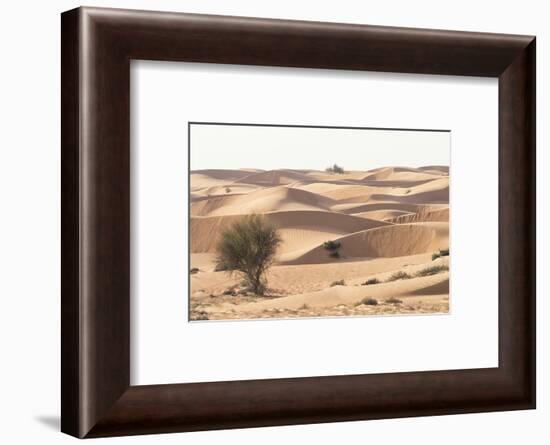 Desert with sand. Abu Dhabi, United Arab Emirates.-Tom Norring-Framed Photographic Print