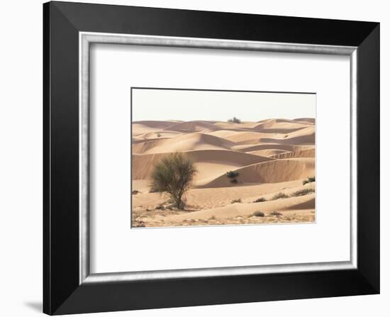 Desert with sand. Abu Dhabi, United Arab Emirates.-Tom Norring-Framed Photographic Print